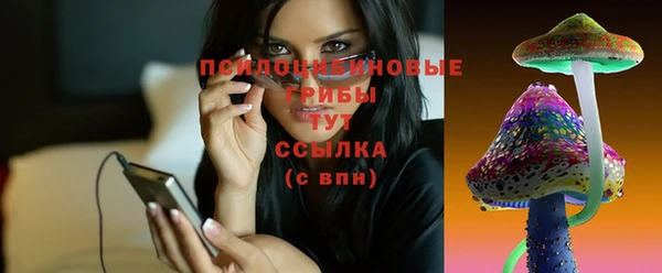 гашик Балахна