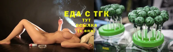 дмт Снежногорск