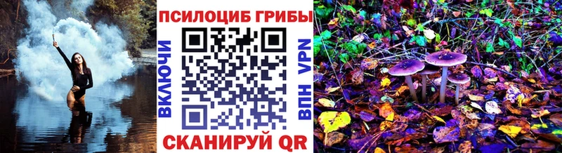 Псилоцибиновые грибы GOLDEN TEACHER Губкин